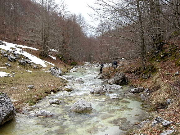 Escursione Parco Nazionale d''Abruzzo